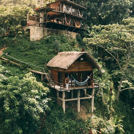 Paraiso Ahimsa Buritaca Exteriör bild